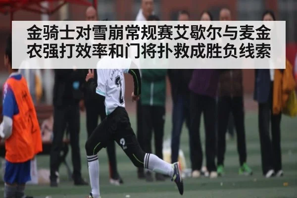 金骑士对雪崩常规赛艾歇尔与麦金农强打效率和门将扑救成胜负线索